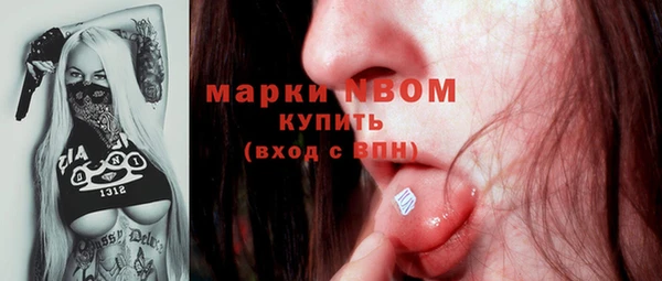 хмурый Абаза