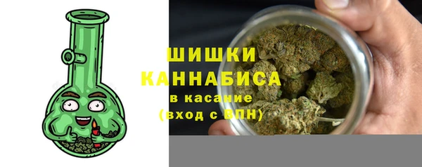 хмурый Абаза