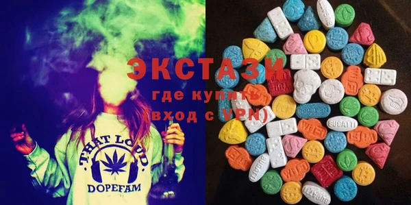 хмурый Абаза