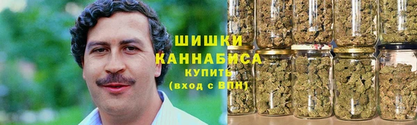 ГАЛЛЮЦИНОГЕННЫЕ ГРИБЫ Осташков