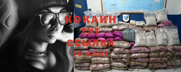 хмурый Абаза