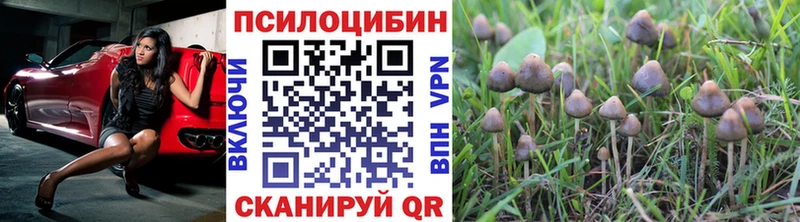 Галлюциногенные грибы GOLDEN TEACHER  Судогда 