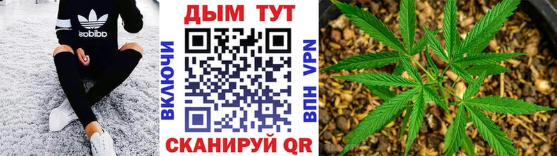 Бошки марихуана THC 21%  ссылка на мегу   Судогда 